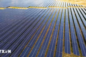 Ảnh minh họa. (Ảnh: TRẦN VIỆT/TTXVN)