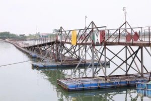 Cầu dân sinh Triệu Độ bắc qua sông Thạch Hãn nhiều năm nay phục vụ nhu cầu đi lại của người dân.