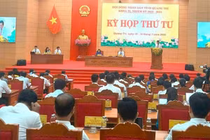 Tại kỳ họp thứ tư, Hội đồng nhân dân tỉnh Quảng Trị khóa IX, thông qua nghị quyết hỗ trợ đầu tư trồng rừng sản xuất gỗ lớn trên địa bàn.