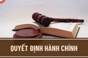 Ảnh tư liệu.