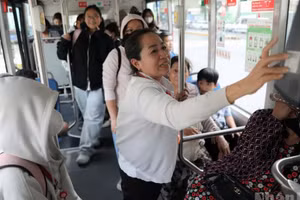 Thành phố Hồ Chí Minh miễn phí vé xe buýt toàn dân. 