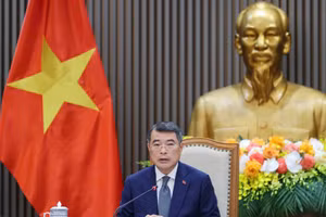 Thủ tướng Chính phủ Lê Minh Hưng điện đàm với Thủ tướng New Zealand Christopher Luxon. (Ảnh: VGP/Nhật Bắc)