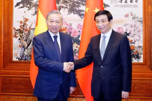 Tổng Bí thư, Chủ tịch nước Tô Lâm hội kiến Chủ tịch Chính hiệp toàn quốc Trung Quốc Vương Hộ Ninh. (Ảnh: TTXVN)