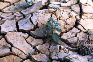 Cuộc khủng hoảng nước tiếp tục gia tăng cả về quy mô và mức độ. (Ảnh minh họa: Tân Hoa Xã)