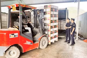 Cán bộ Hải quan khu vực VI trực tiếp kiểm tra hàng hóa tại kho.