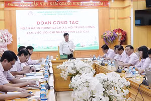 Quang cảnh buổi làm việc tại Lào Cai.