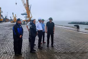 Lãnh đạo Cục Hàng hải và Đường thủy Việt Nam kiểm tra công tác ứng phó bão số 1 tại Hải Phòng.