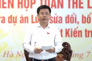 Phó Chủ tịch Quốc hội Nguyễn Hồng Diên phát biểu chỉ đạo tại phiên họp. (Ảnh: QH)