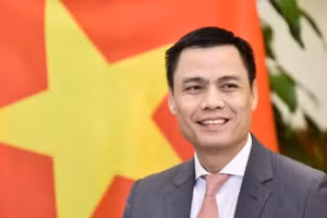 Thứ trưởng Ngoại giao Đặng Hoàng Giang. (Ảnh: Bộ Ngoại giao)