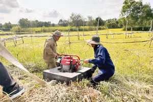 Diễn tập chữa cháy rừng tại Vườn quốc gia U Minh Thượng.