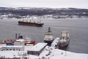 Ảnh minh họa. (Nguồn: TTXVN)