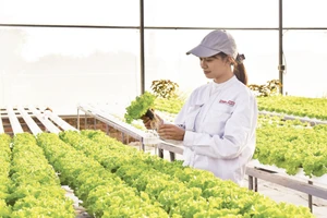 Mô hình trang trại thông minh Delco Farm tại xã Thuận Thành, tỉnh Bắc Ninh được xây dựng và thiết kế theo tiêu chuẩn công nghệ cao. (Ảnh: TUỆ NGHI)