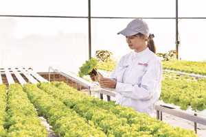 Mô hình trang trại thông minh Delco Farm tại xã Thuận Thành, tỉnh Bắc Ninh được xây dựng và thiết kế theo tiêu chuẩn công nghệ cao. (Ảnh: TUỆ NGHI)