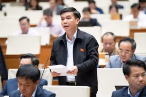 Đại biểu Hà Sỹ Huân (Đoàn Thái Nguyên) phát biểu tại hội trường. (Ảnh: QH)