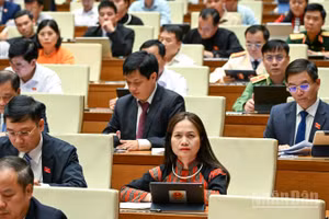 Quốc hội làm việc tại hội trường. (Ảnh: DUY LINH)