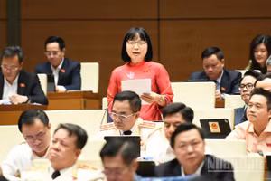 Đại biểu Nguyễn Thị Việt Nga (Phó Trưởng Đoàn đại biểu Quốc hội chuyên trách thành phố Hải Phòng) phát biểu tại hội trường. (Ảnh: DUY LINH)