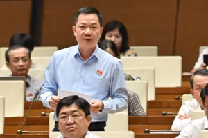 Đại biểu Trịnh Xuân An (Đoàn Đồng Nai) phát biểu tại hội trường. (Ảnh: THỦY NGUYÊN)