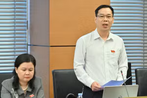 Đại biểu Đỗ Đức Hồng Hà (Đoàn thành phố Hà Nội) phát biểu tại tổ. (Ảnh: QH)