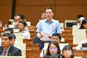 Đại biểu Trịnh Xuân An (Đoàn Đồng Nai) phát biểu tại hội trường. (Ảnh: DUY LINH)