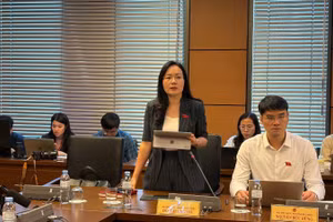 Đại biểu Đỗ Thị Việt Hà (Đoàn Bắc Ninh) phát biểu tại tổ. (Ảnh: TH)