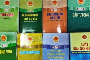 Nâng cao chất lượng kiểm tra, rà soát văn bản quy phạm pháp luật. (Ảnh minh hoạ. Nguồn: TT)
