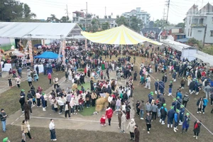 Hội thi "Hoa hậu Bò sữa Mộc Châu năm 2026" thu hút hàng nghìn du khách và người dân tham dự.