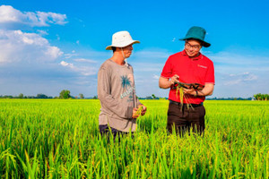 Mở dòng vốn xanh bền vững 