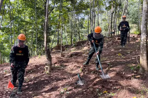 Đội rà phá bom mìn thuộc Sư đoàn 316 thực hiện rà phá bom mìn, vật nổ tại xã biên giới Bạch Đích, tỉnh Tuyên Quang.