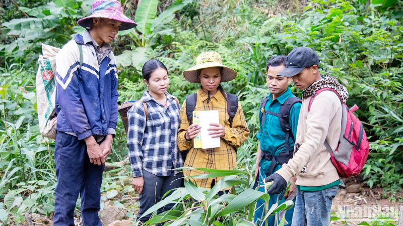 Tổ bảo vệ rừng thôn Hồ, xã Hướng Sơn, huyện Hướng Hóa, là một trong những nhóm hộ được hưởng lợi từ dự án để góp phần phát triển bền vững.