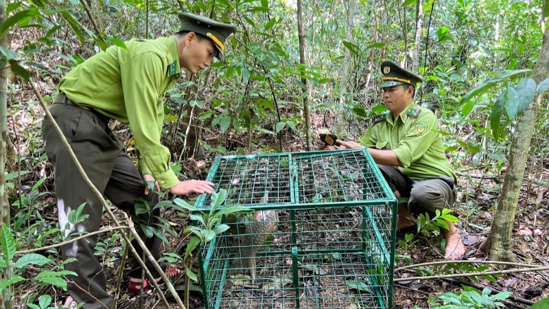 Cán bộ hạt kiểm lâm huyện Nam Đông và thành phố Huế trước đây từ đầu năm đến nay vẫn chưa được nhận lương.