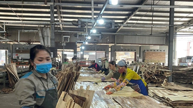 Sản xuất ván ép xuất khẩu tại Công ty cổ phần Sơn Thủy, tỉnh Hòa Bình. (Ảnh VŨ HOÀNG )