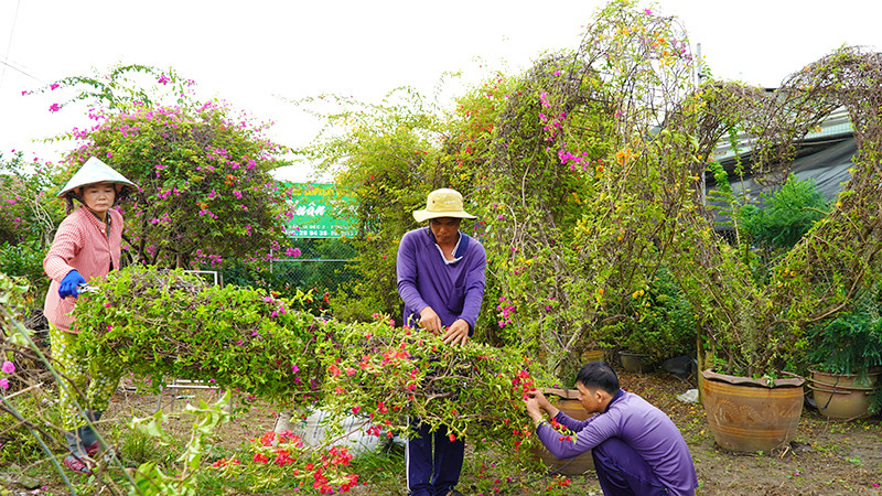 Bà con nông dân Làng hoa Sa Đéc tạo kiểng hoa giấy hình trái tim. (Ảnh: HỮU NGHĨA)