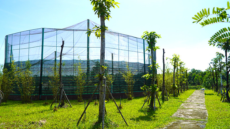 Khu vực sẽ thả 2 cá thể sếu đầu tiên tại Vườn Quốc gia Tràm Chim. (Ảnh: HỮU NGHĨA)