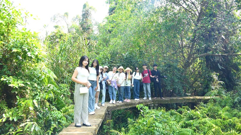 Du khách trẻ tham quan, trải nghiệm dưới tán rừng tràm xanh mướt tại Xẻo Quít, khu “căn cứ lòng dân”. (Ảnh: HỮU NGHĨA)