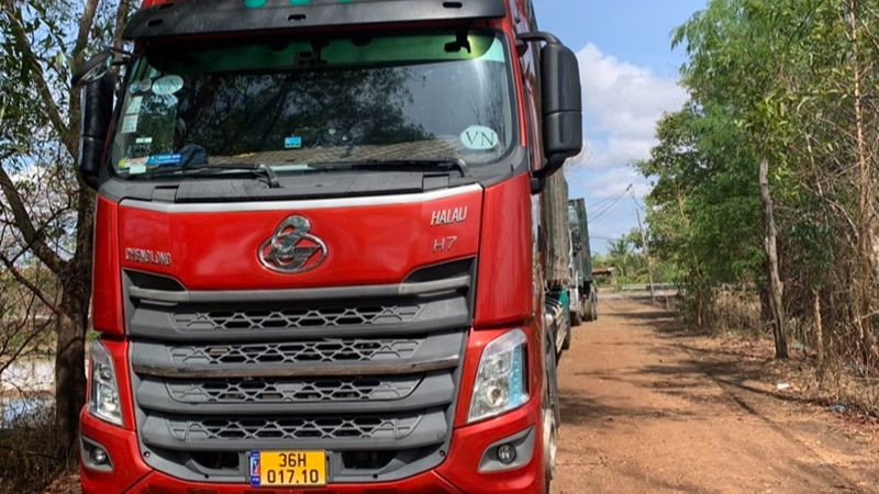 Xe ô-tô mang biển kiểm soát 36H-01710, Rơ-móc số 36R- 02873 vận chuyển 3 cây Bằng lăng bị tạm giữ để điều tra làm rõ.