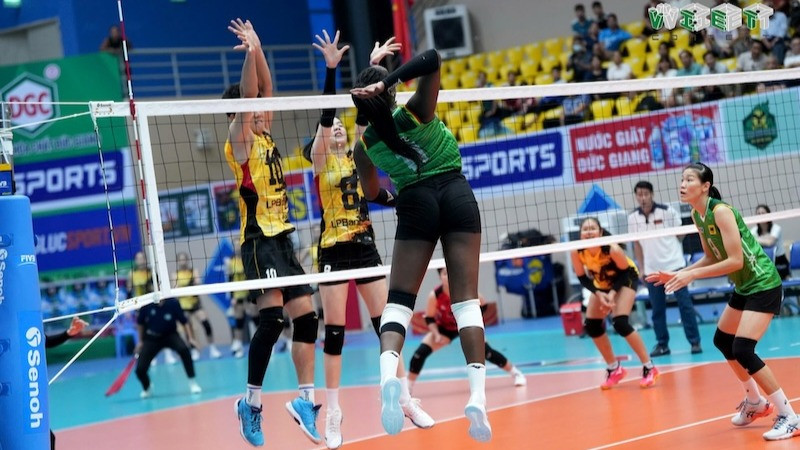 Ảnh minh họa: Vòng 1 Giải bóng chuyền vô địch quốc gia 2025 khởi tranh từ ngày 22/3 tới 31/3. (Ảnh: Liên đoàn Bóng chuyền Việt Nam)