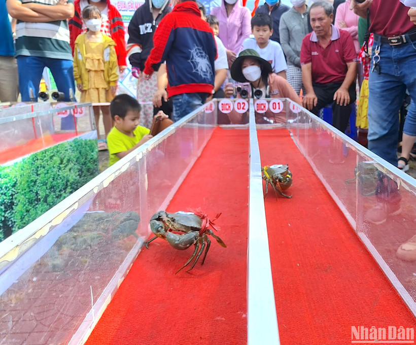 Khá đông người đến xem, cổ vũ cho những vận động viên 2 càng, 8 chân trên đường đua tốc độ. 