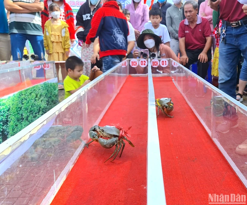Khá đông người đến xem, cổ vũ cho những vận động viên 2 càng, 8 chân trên đường đua tốc độ. 