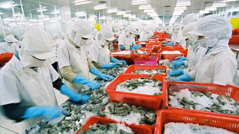 Doanh nghiệp xuất khẩu gặp khó khăn về cước tàu biển.