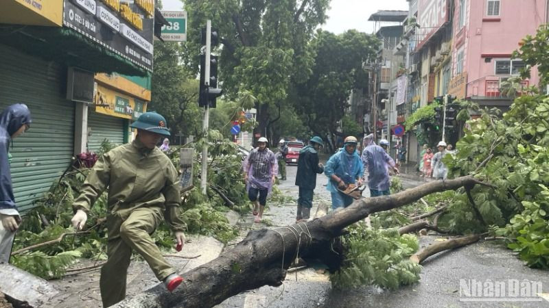 Người dân khắc phục hậu quả sau trận mưa lớn khiến cây cối trên đường phố bị gãy đổ.