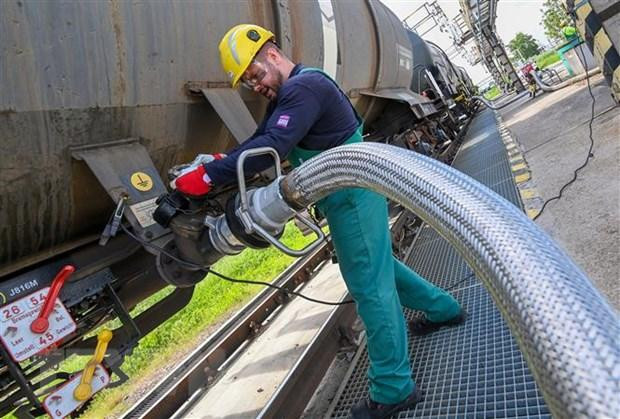 Công nhân vận hành ống dẫn nhiên liệu lỏng tại cơ sở lọc dầu ở thị trấn Szazhalombatta, Hungary. (Ảnh: AFP/TTXVN) 