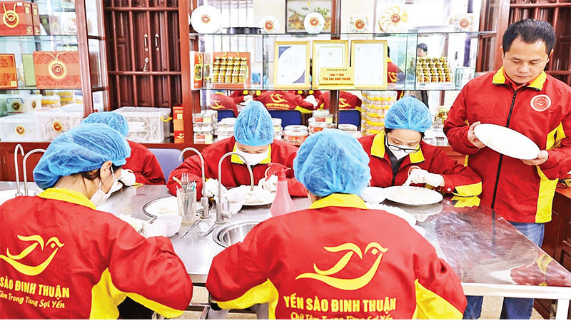 Cơ sở sản xuất yến sào của nông dân Đinh Văn Thuận ở huyện Hải Hậu, Nam Định.