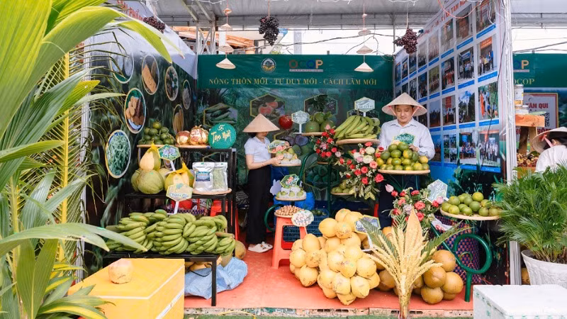 Gian hàng trưng bày trái cây đặc sản tại Festival 100 năm dừa sáp Trà Vinh.