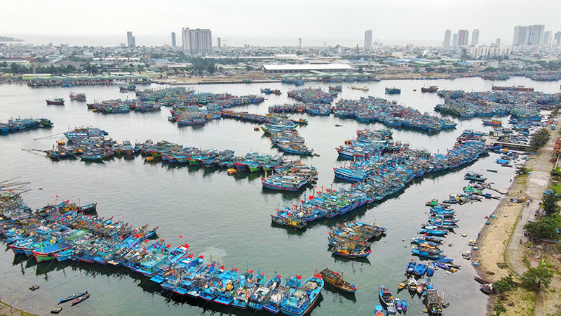 Đà Nẵng đã xử lý dứt điểm 578 tàu cá “3 không”.