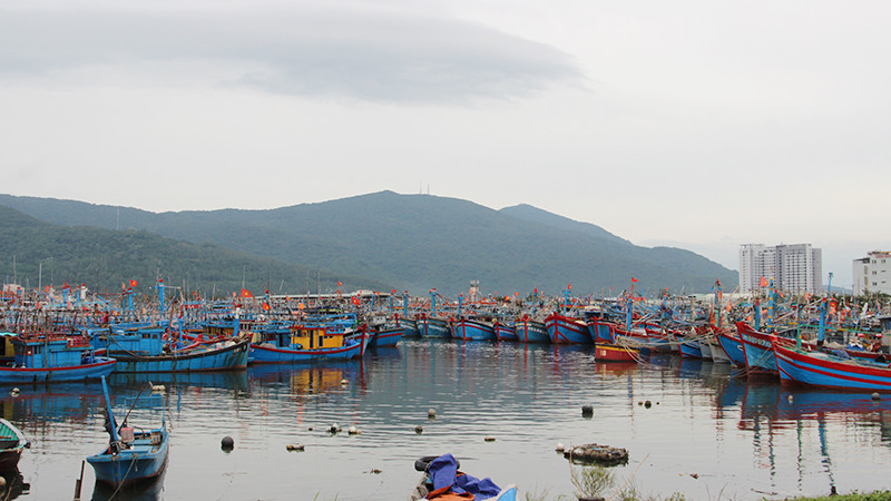 Từ Nghị quyết 255, đã có 1.149 lượt tàu cá được hỗ trợ