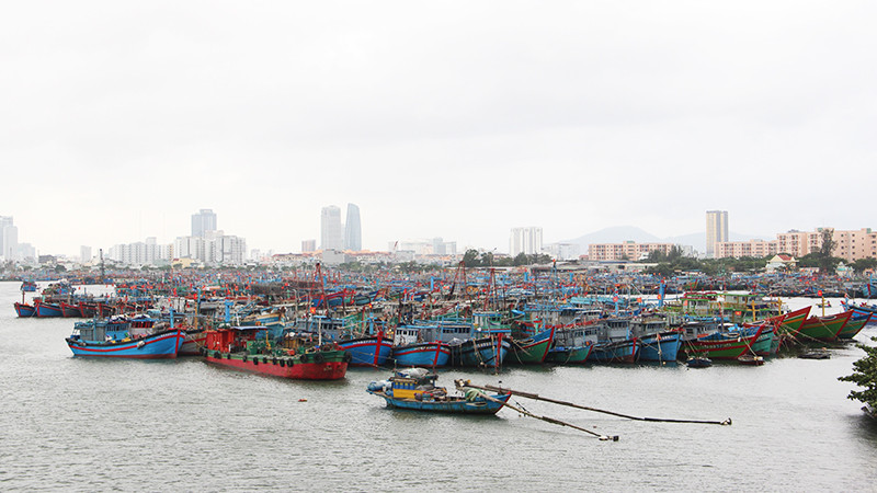 Đà Nẵng khẩn trương tập trung thực hiện các nhiệm vụ, giải pháp cấp bách, trọng tâm chống IUU.