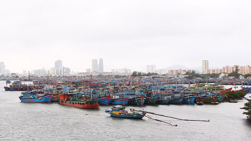 Đà Nẵng khẩn trương tập trung thực hiện các nhiệm vụ, giải pháp cấp bách, trọng tâm chống IUU.