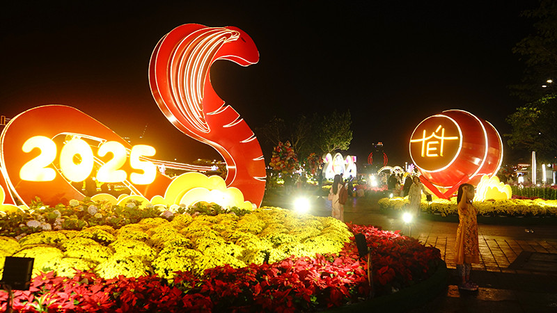 Đường hoa xuân đêm 29 Tết.