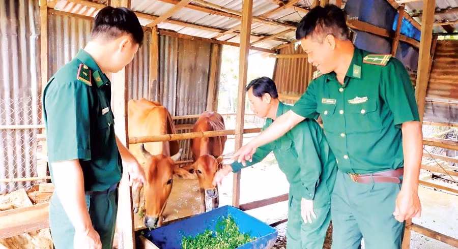 Cán bộ Đồn Biên phòng Đắk Ơ thăm hỏi các hộ dân được tặng bò giống.