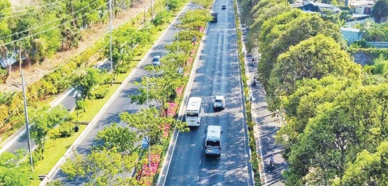 Mầu xanh đô thị đường 3/2, thành phố Vũng Tàu.
